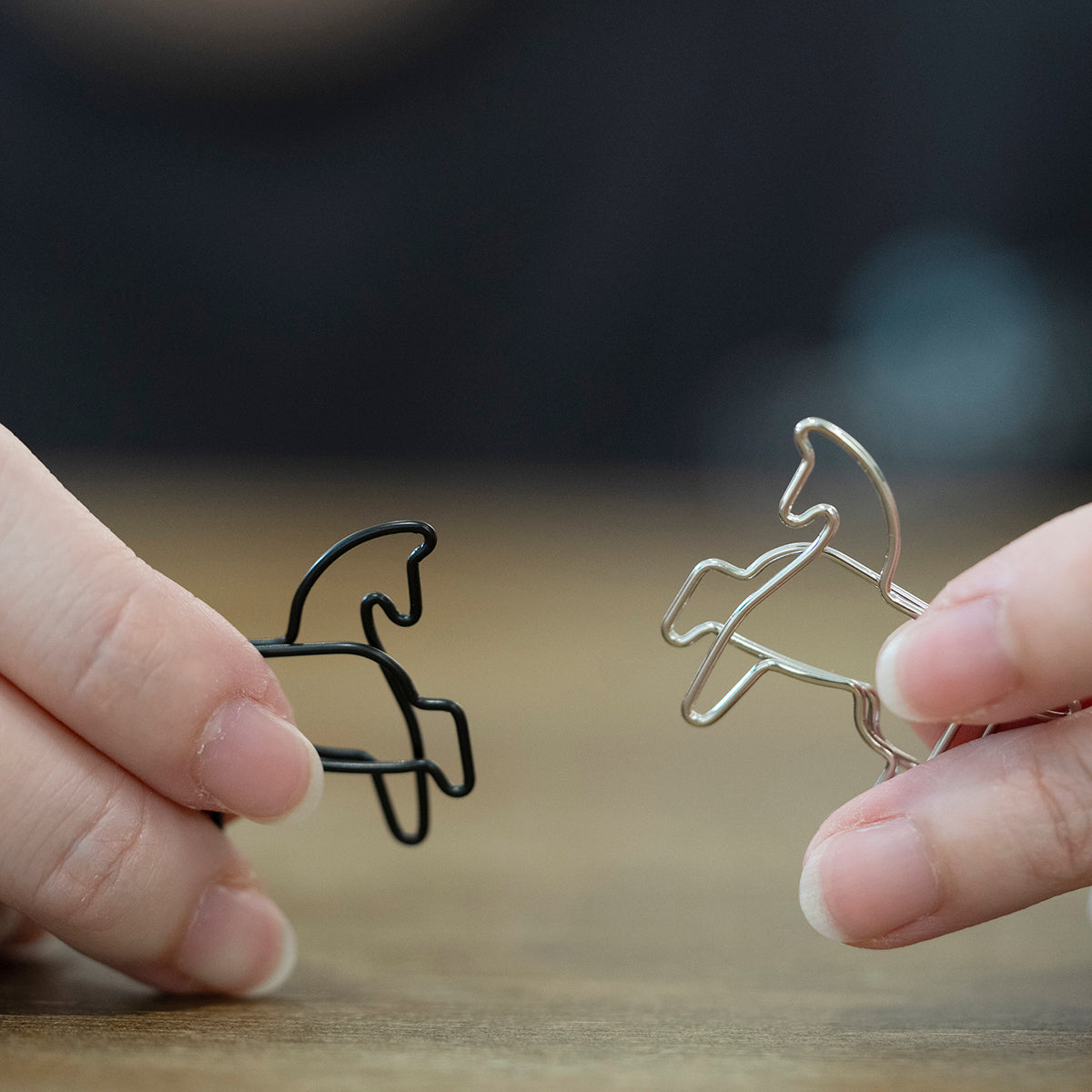 Win Win Clip (Set of 9)